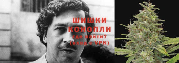 ешки Бронницы