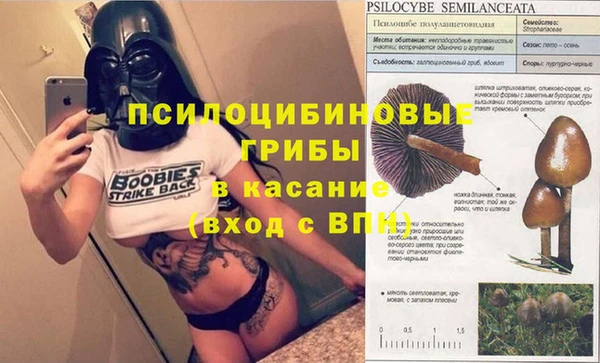 spice Бугульма