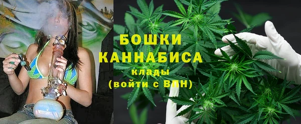 ешки Бронницы